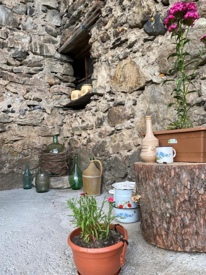 Iuri Udesiani'S Guesthouse Mestia Extérieur photo